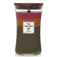 Ароматическая свеча Woodwick  Large Trilogy Hearthside - фото №1
