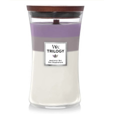 Ароматическая свеча  Woodwick Large Trilogy Amethyst Sky - фото №1