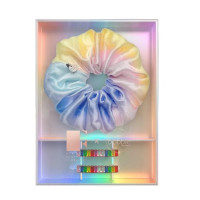 Подарунковий Набір (Резинка SPRUNCHIE та заколка для волосся) Invisibobble Rainbro Kit - фото №1