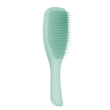 Расческа  Tangle Teezer The Wet Detangler Fine & Fragile Marine Teal - фото №1