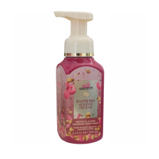 Рідке мило-пінка для рук Bath & Body Works Raspberry Holiday Pie  Foaming Hand Soap  259 ml - фото №1