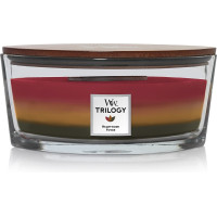 Ароматична свічка Woodwick Ellipse Trilogy Hearthside - фото №1