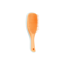 Щетка для волос Tangle Teezer The Ultimate Detangler Mini Ice Blue&Sweet Orange - фото №1