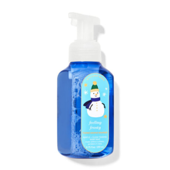Рідке мило-пінка для рук Bath and Body Works Feeling Frosty Hand Soap 259 мл - фото №1