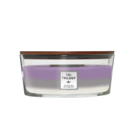 Ароматическая свеча Woodwick Ellipse Trilogy Amethyst Sky 453 г - фото №1