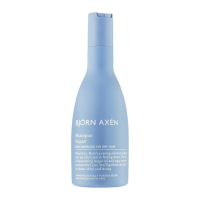 Відновлюючий шампунь для волосся Bjorn Axen Repair Shampoo 250 мл - фото №1