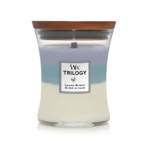 Ароматична свічка з тришаровим ароматом Woodwick Medium Trilogy Calming Retreat 275 г - фото №1