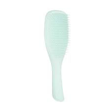 Щетка для волос Tangle Teezer The Ultimate Detangler Fine & Fragile Ice Blue - фото №1