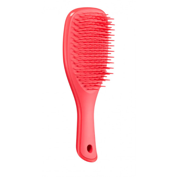 Щітка для волосся Tangle Teezer The Wet Detangler Mini Pink Punch - фото №1