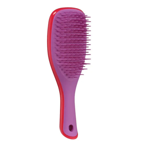 Щітка для волосся Tangle Teezer The Wet Detangler Mini  Cherry & Violet - фото №1