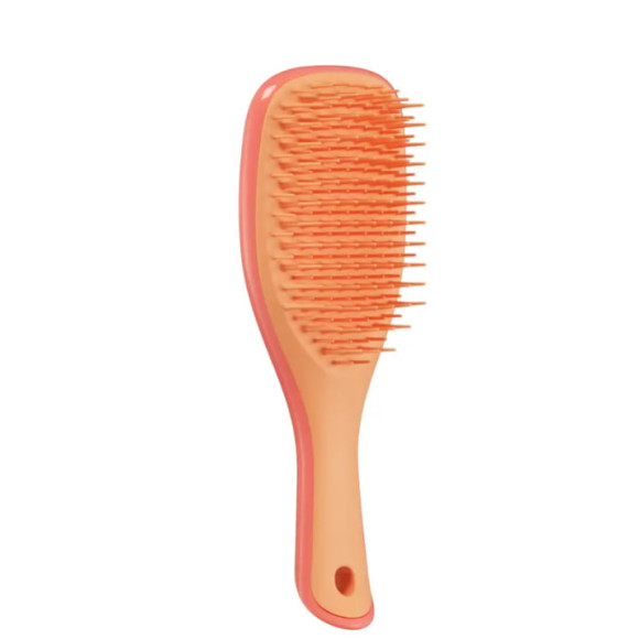 Щітка для волосся Tangle Teezer The Ultimate Detangler Mini Salmon Pink & Apricot - фото №1